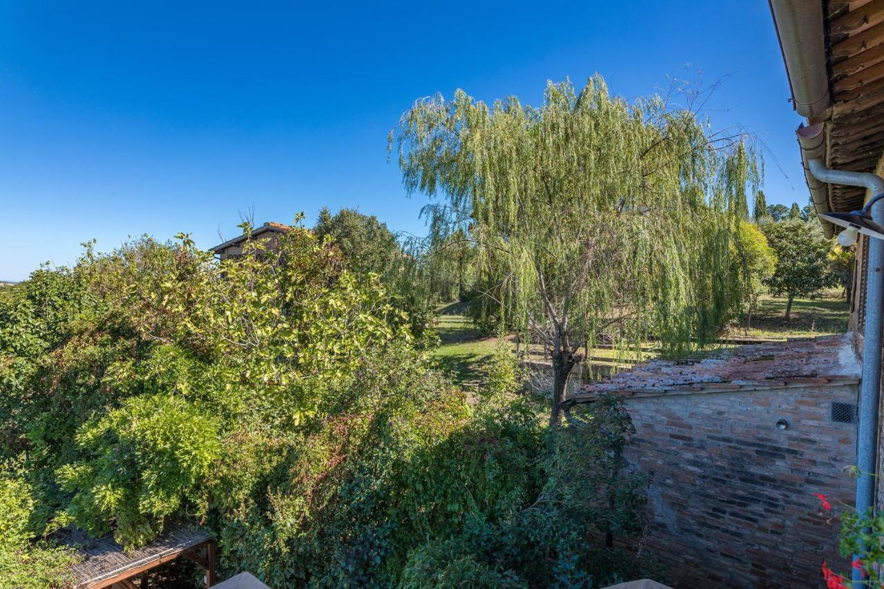 Podere Albereto Buonconvento Bagian luar foto
