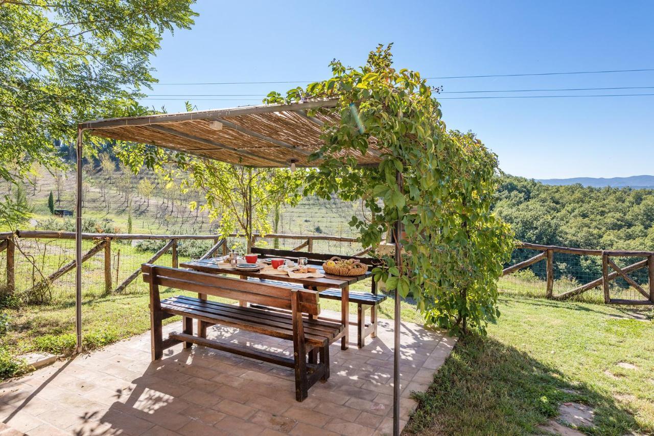 Podere Albereto Buonconvento Bagian luar foto